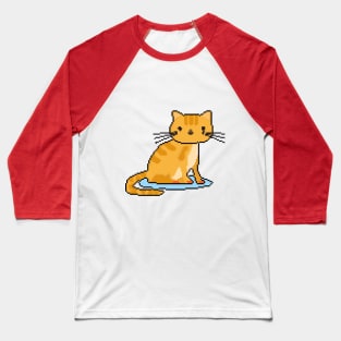 Feline Finesse Baseball T-Shirt